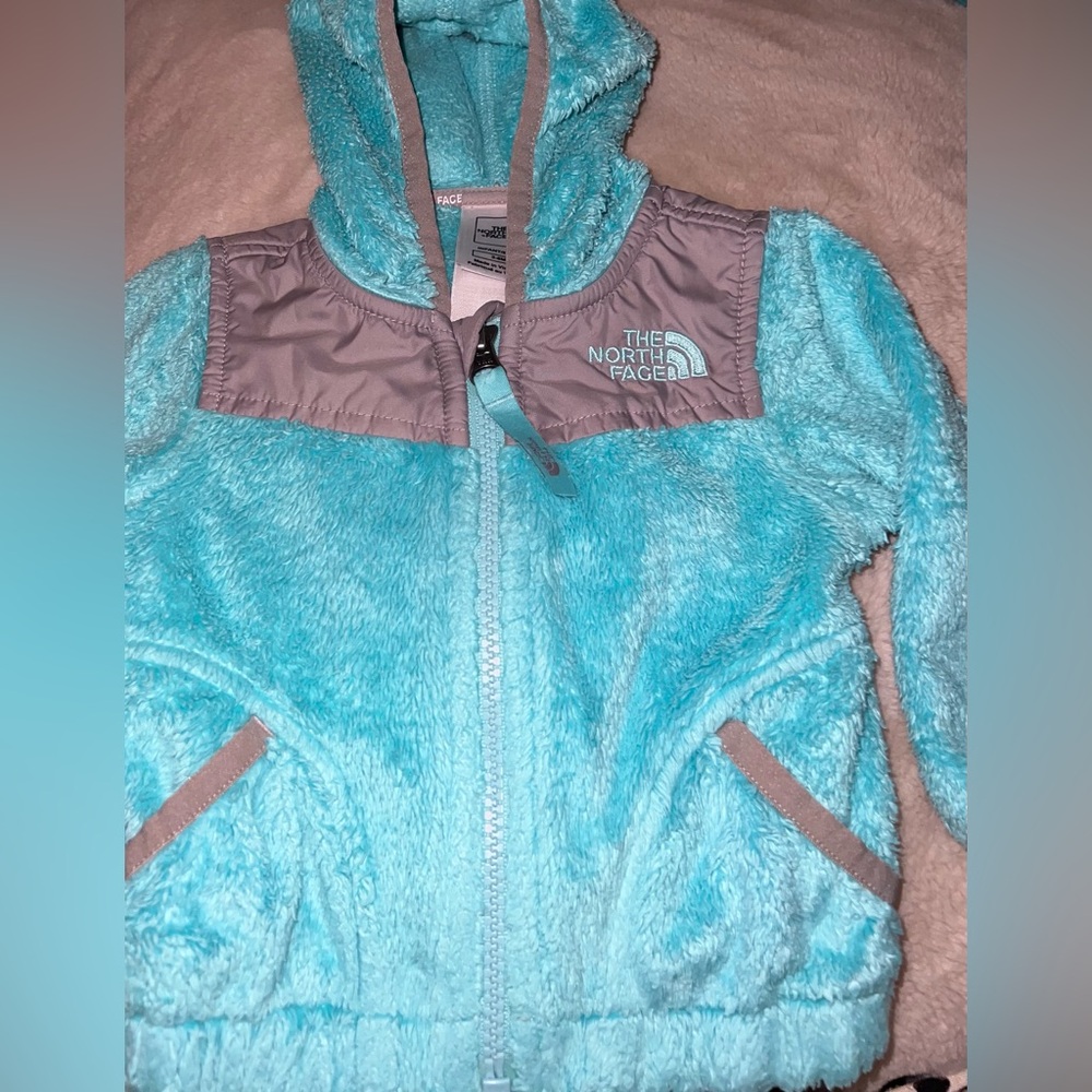 North Face Oso Fleece Hooded Jacket